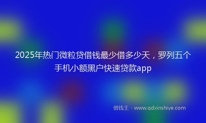2025年热门微粒贷借钱最少借多少天，罗列五个手机小额黑户快速贷款app