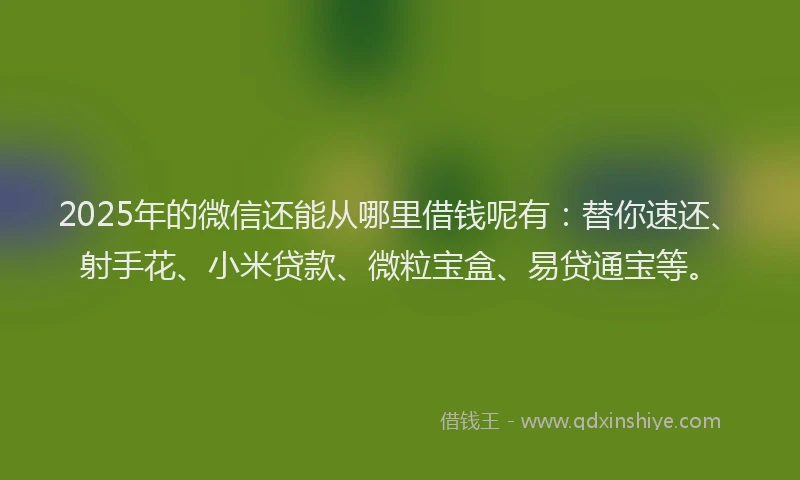 2025年的微信还能从哪里借钱呢有：替你速还、射手花、小米贷款、微粒宝盒、易贷通宝等。