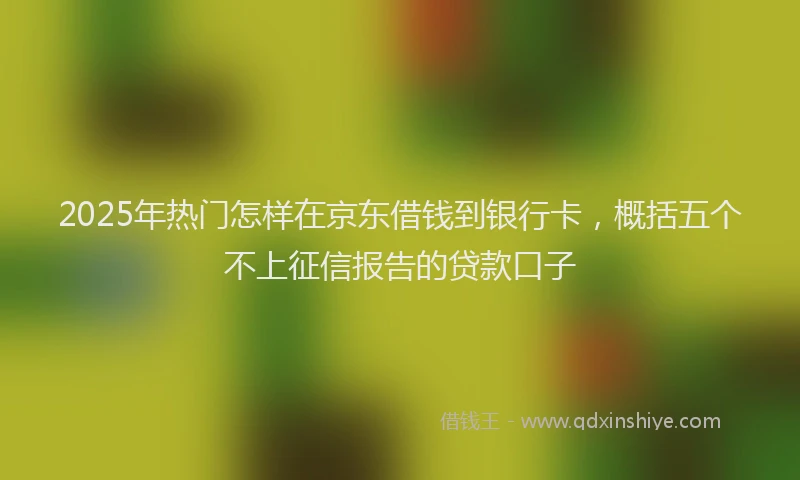 2025年热门怎样在京东借钱到银行卡，概括五个不上征信报告的贷款口子
