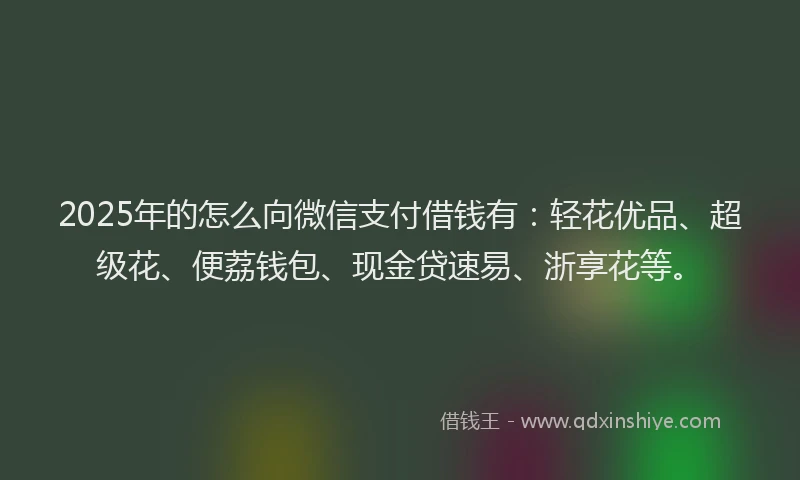 2025年的怎么向微信支付借钱有：轻花优品、超级花、便荔钱包、现金贷速易、浙享花等。