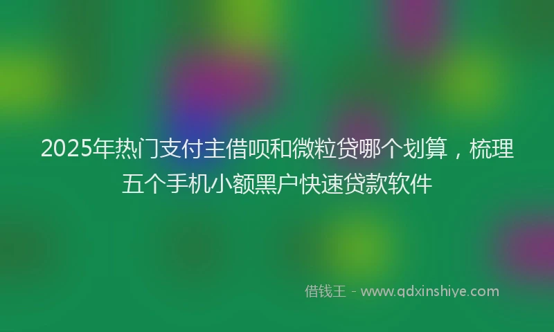 2025年热门支付主借呗和微粒贷哪个划算，梳理五个手机小额黑户快速贷款软件