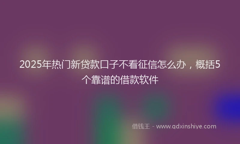 2025年热门新贷款口子不看征信怎么办，概括5个靠谱的借款软件