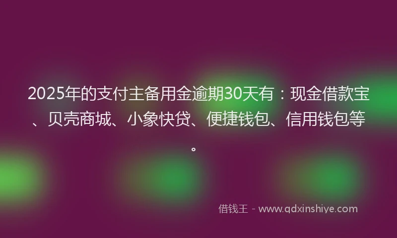 2025年的支付主备用金逾期30天有：现金借款宝、贝壳商城、小象快贷、便捷钱包、信用钱包等。