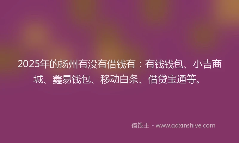 2025年的扬州有没有借钱有：有钱钱包、小吉商城、鑫易钱包、移动白条、借贷宝通等。