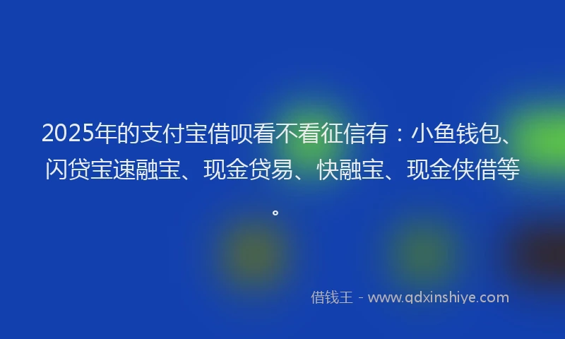 2025年的支付宝借呗看不看征信有：小鱼钱包、闪贷宝速融宝、现金贷易、快融宝、现金侠借等。