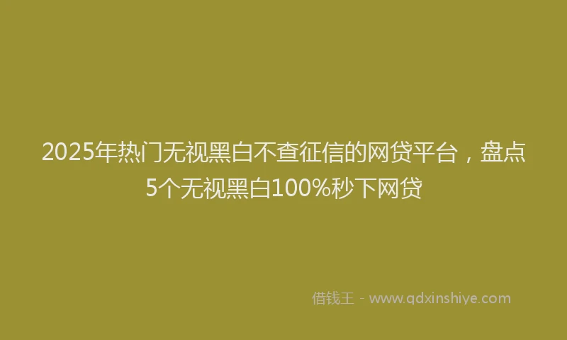 2025年热门无视黑白不查征信的网贷平台，盘点5个无视黑白100%秒下网贷