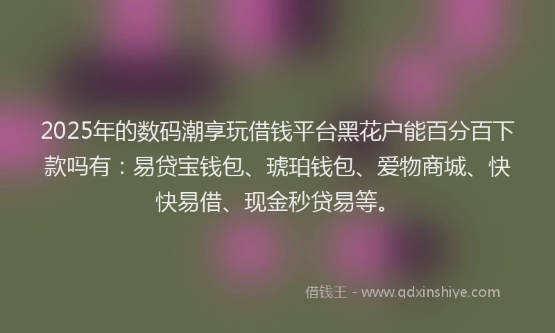 2025年的数码潮享玩借钱平台黑花户能百分百下款吗有：易贷宝钱包、琥珀钱包、爱物商城、快快易借、现金秒贷易等。