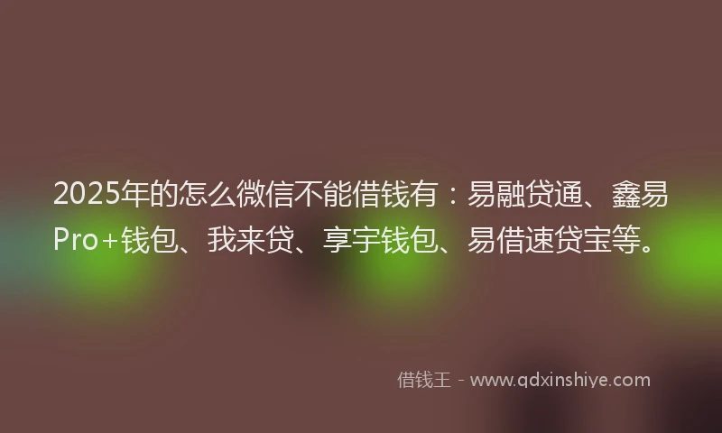 2025年的怎么微信不能借钱有：易融贷通、鑫易Pro+钱包、我来贷、享宇钱包、易借速贷宝等。