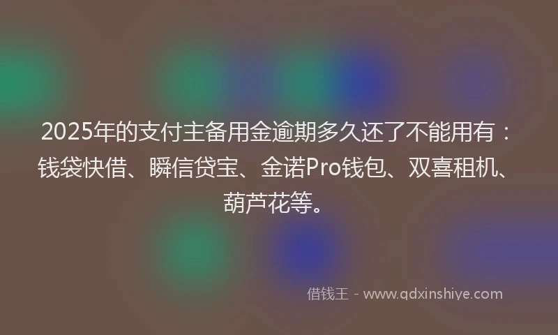 2025年的支付主备用金逾期多久还了不能用有：钱袋快借、瞬信贷宝、金诺Pro钱包、双喜租机、葫芦花等。