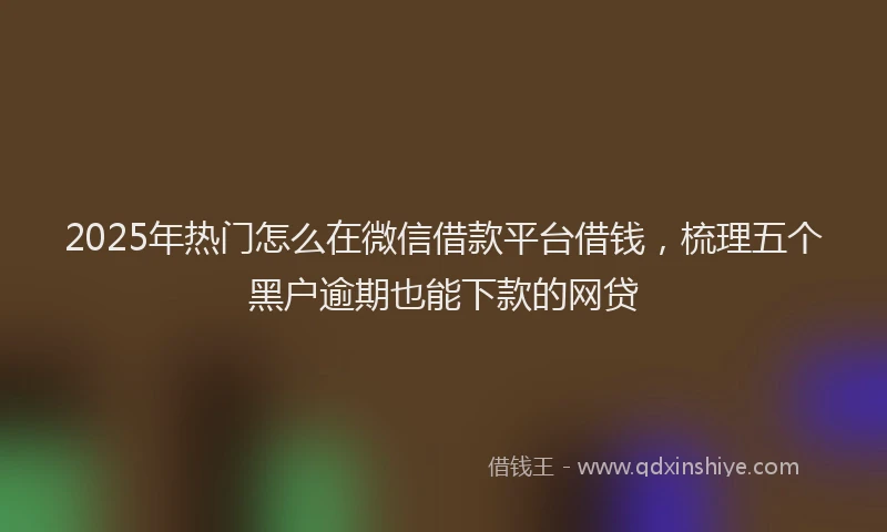 2025年热门怎么在微信借款平台借钱，梳理五个黑户逾期也能下款的网贷