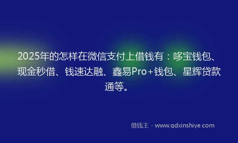 2025年的怎样在微信支付上借钱有：哆宝钱包、现金秒借、钱速达融、鑫易Pro+钱包、星辉贷款通等。