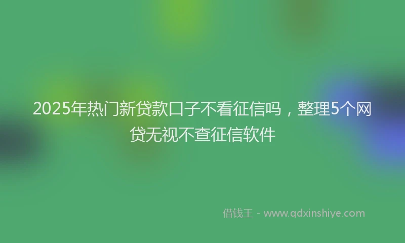 2025年热门新贷款口子不看征信吗，整理5个网贷无视不查征信软件