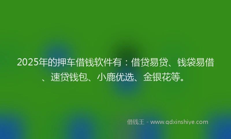 2025年的押车借钱软件有：借贷易贷、钱袋易借、速贷钱包、小鹿优选、金银花等。