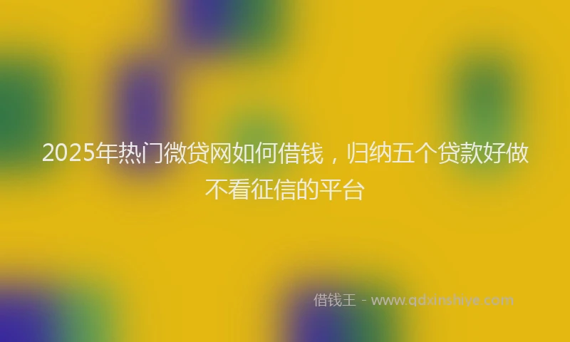 2025年热门微贷网如何借钱，归纳五个贷款好做不看征信的平台