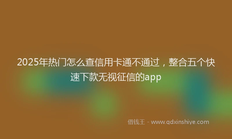 2025年热门怎么查信用卡通不通过，整合五个快速下款无视征信的app