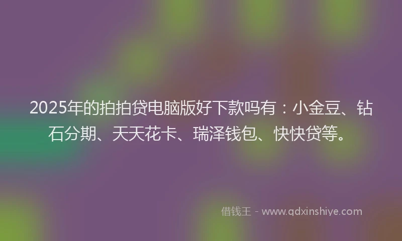 2025年的拍拍贷电脑版好下款吗有：小金豆、钻石分期、天天花卡、瑞泽钱包、快快贷等。