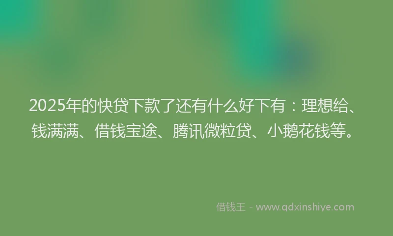 2025年的快贷下款了还有什么好下有：理想给、钱满满、借钱宝途、腾讯微粒贷、小鹅花钱等。