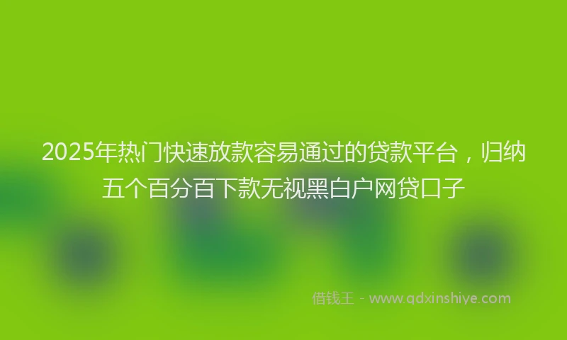 2025年热门快速放款容易通过的贷款平台，归纳五个百分百下款无视黑白户网贷口子