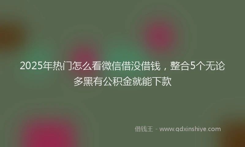 2025年热门怎么看微信借没借钱，整合5个无论多黑有公积金就能下款
