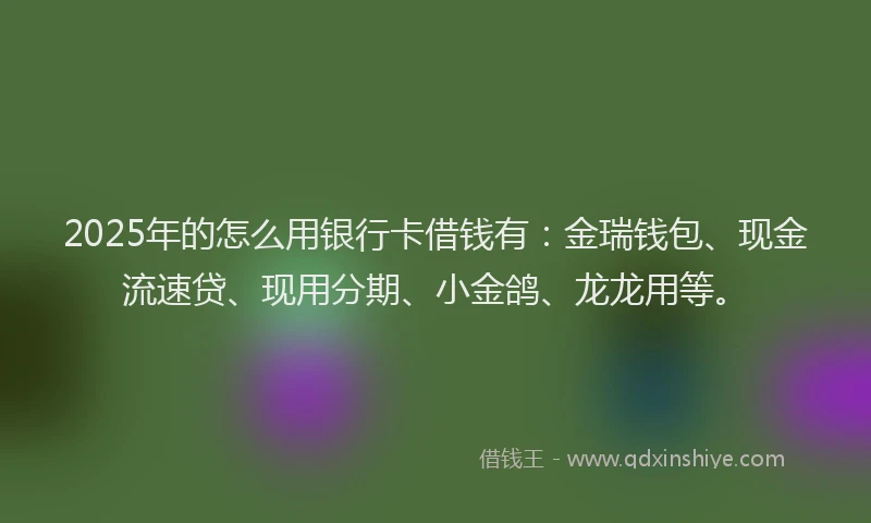 2025年的怎么用银行卡借钱有：金瑞钱包、现金流速贷、现用分期、小金鸽、龙龙用等。