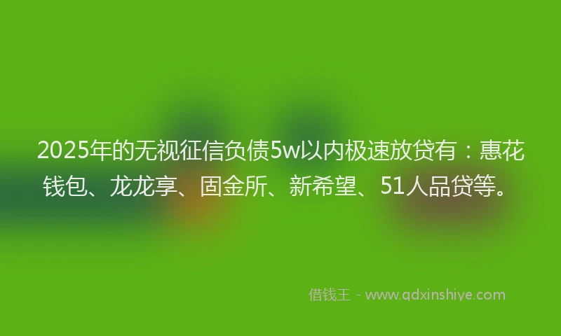 2025年的无视征信负债5w以内极速放贷有：惠花钱包、龙龙享、固金所、新希望、51人品贷等。