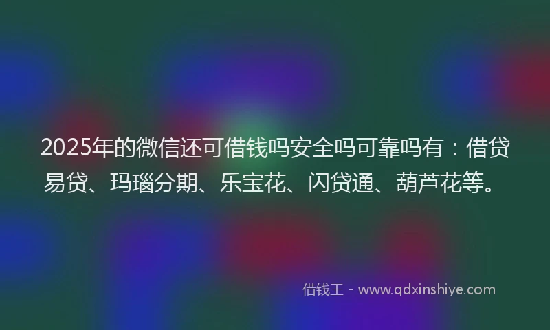 2025年的微信还可借钱吗安全吗可靠吗有：借贷易贷、玛瑙分期、乐宝花、闪贷通、葫芦花等。