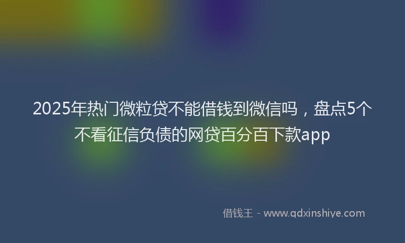 2025年热门微粒贷不能借钱到微信吗，盘点5个不看征信负债的网贷百分百下款app