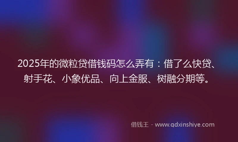 2025年的微粒贷借钱码怎么弄有：借了么快贷、射手花、小象优品、向上金服、树融分期等。
