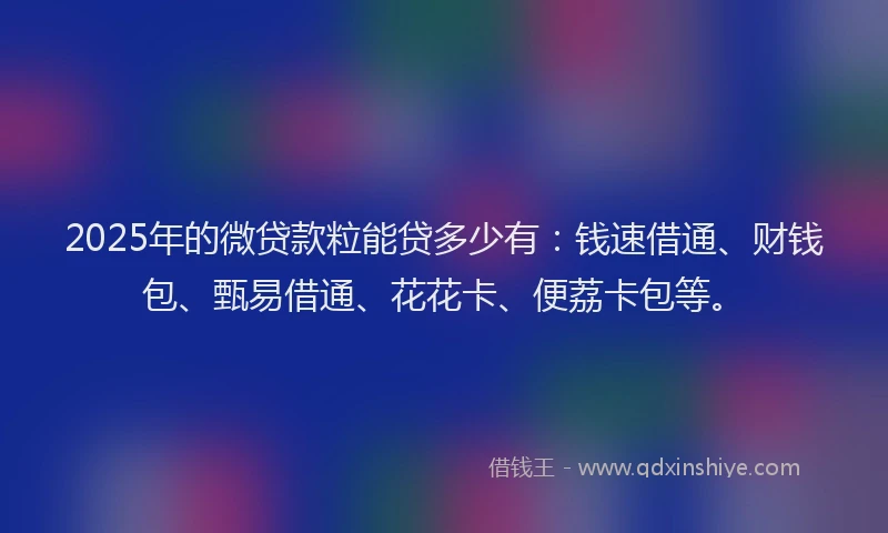 2025年的微贷款粒能贷多少有：钱速借通、财钱包、甄易借通、花花卡、便荔卡包等。