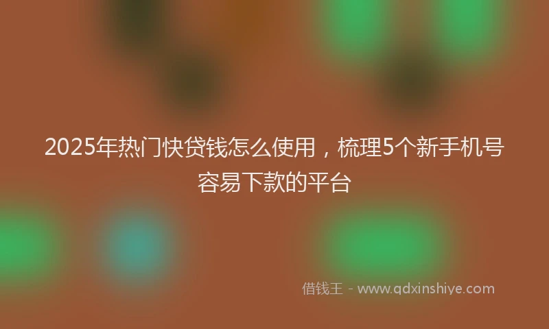 2025年热门快贷钱怎么使用，梳理5个新手机号容易下款的平台