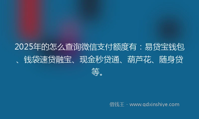 2025年的怎么查询微信支付额度有：易贷宝钱包、钱袋速贷融宝、现金秒贷通、葫芦花、随身贷等。