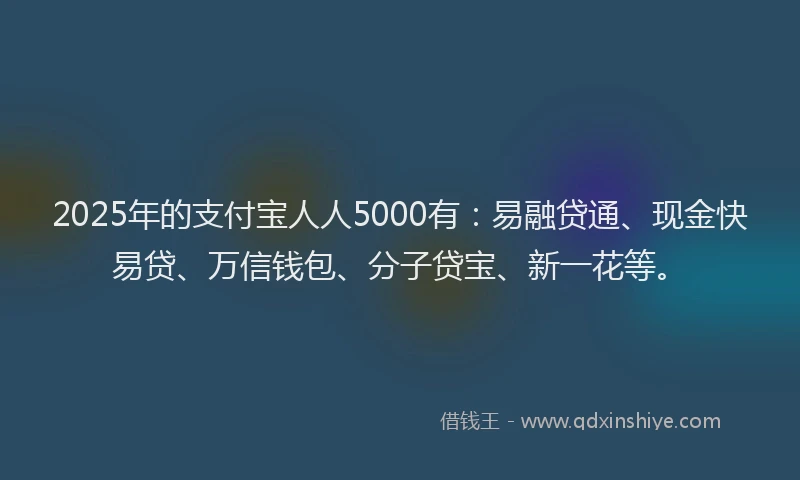 2025年的支付宝人人5000有：易融贷通、现金快易贷、万信钱包、分子贷宝、新一花等。