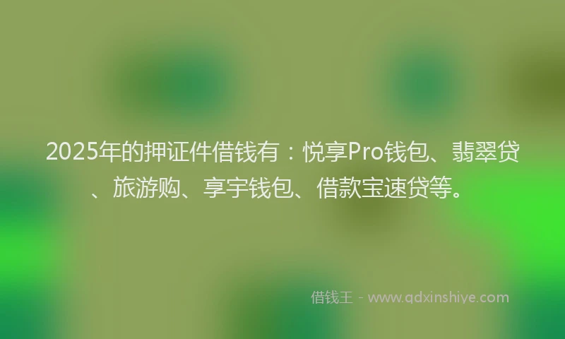 2025年的押证件借钱有：悦享Pro钱包、翡翠贷、旅游购、享宇钱包、借款宝速贷等。