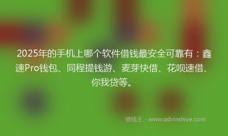 2025年的手机上哪个软件借钱最安全可靠有：鑫速Pro钱包、同程提钱游、麦芽快借、花呗速借、你我贷等。