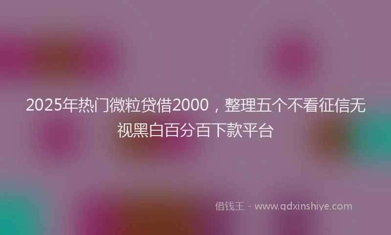 2025年热门微粒贷借2000，整理五个不看征信无视黑白百分百下款平台