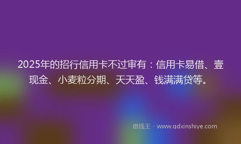 2025年的招行信用卡不过审有：信用卡易借、壹现金、小麦粒分期、天天盈、钱满满贷等。