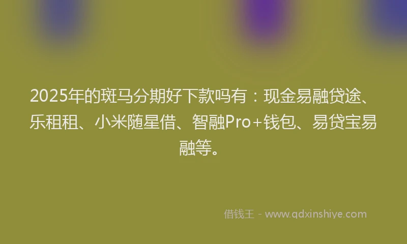 2025年的斑马分期好下款吗有：现金易融贷途、乐租租、小米随星借、智融Pro+钱包、易贷宝易融等。