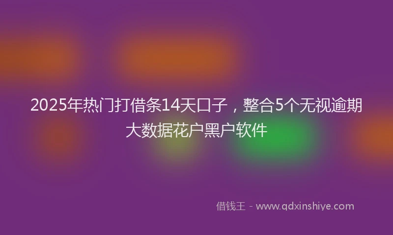 2025年热门打借条14天口子，整合5个无视逾期大数据花户黑户软件