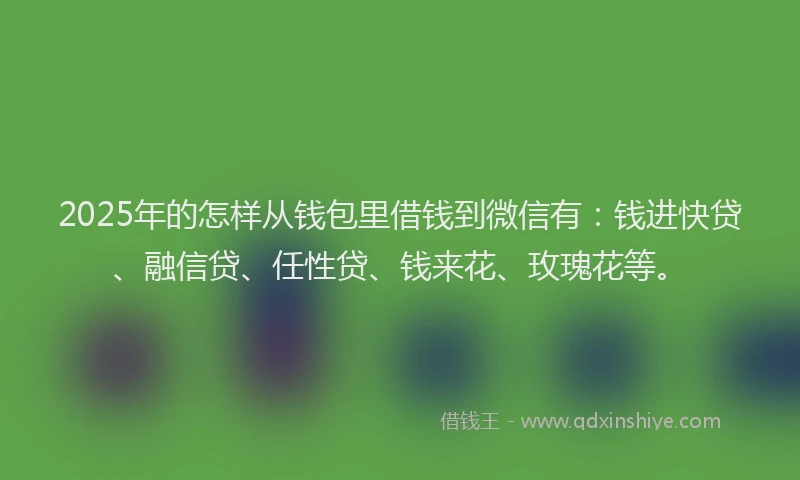 2025年的怎样从钱包里借钱到微信有：钱进快贷、融信贷、任性贷、钱来花、玫瑰花等。