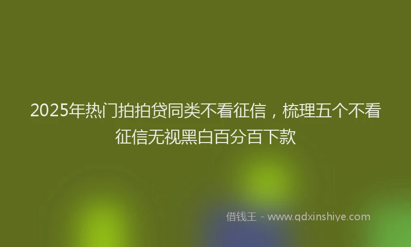 2025年热门拍拍贷同类不看征信，梳理五个不看征信无视黑白百分百下款
