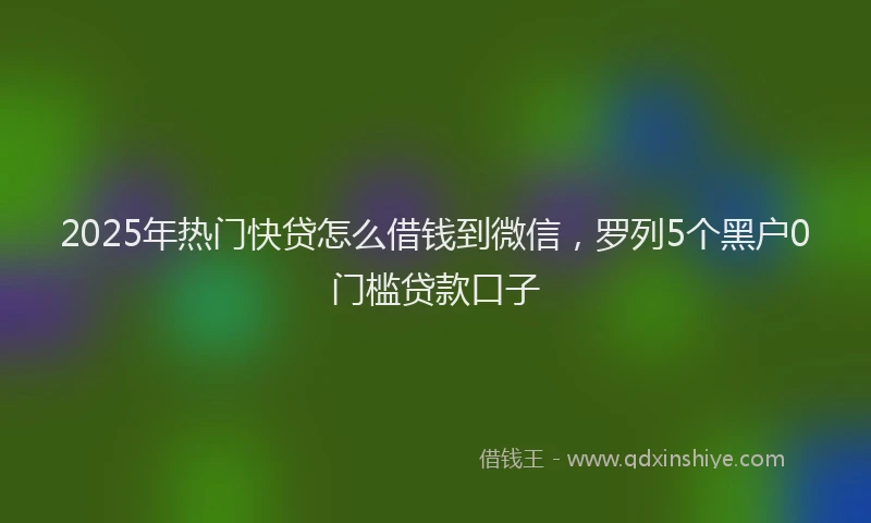 2025年热门快贷怎么借钱到微信，罗列5个黑户0门槛贷款口子