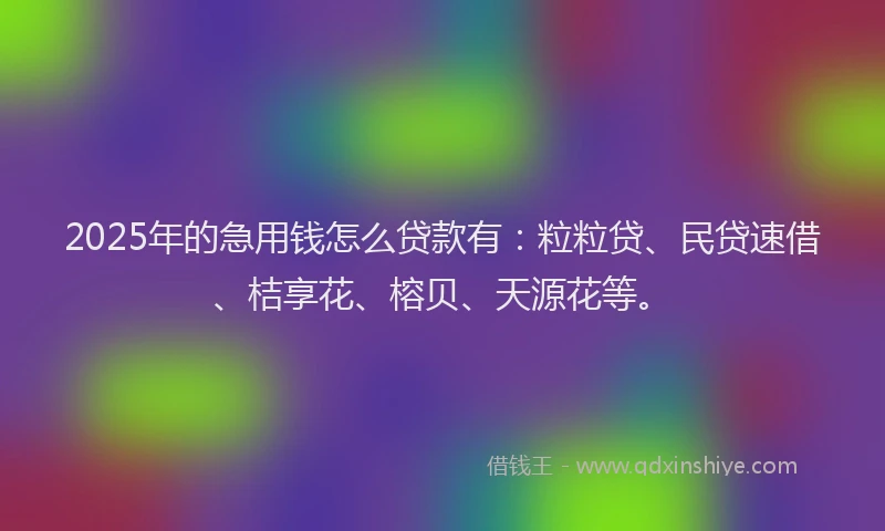 2025年的急用钱怎么贷款有：粒粒贷、民贷速借、桔享花、榕贝、天源花等。