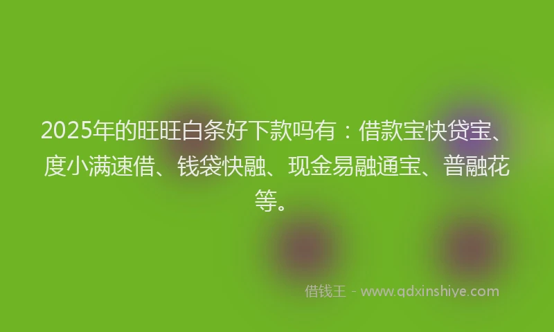 2025年的旺旺白条好下款吗有：借款宝快贷宝、度小满速借、钱袋快融、现金易融通宝、普融花等。