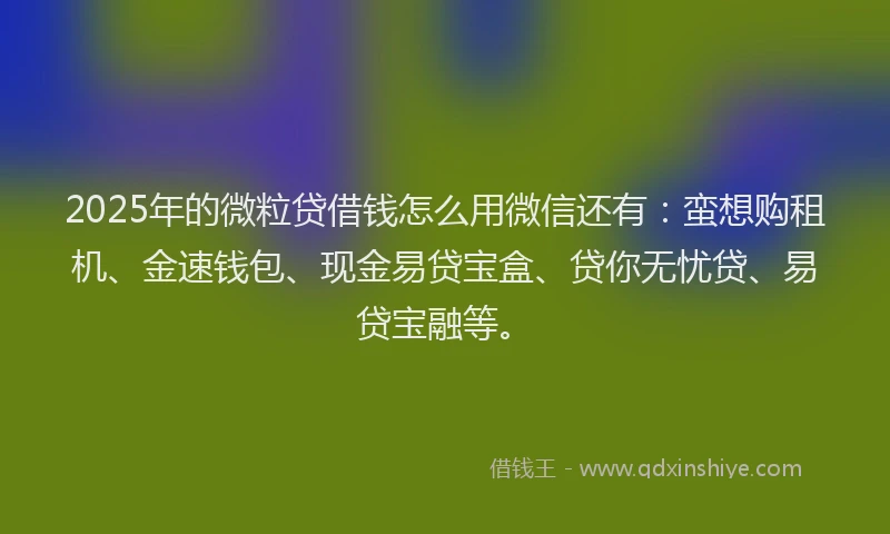 2025年的微粒贷借钱怎么用微信还有：蛮想购租机、金速钱包、现金易贷宝盒、贷你无忧贷、易贷宝融等。