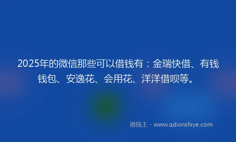 2025年的微信那些可以借钱有：金瑞快借、有钱钱包、安逸花、会用花、洋洋借呗等。