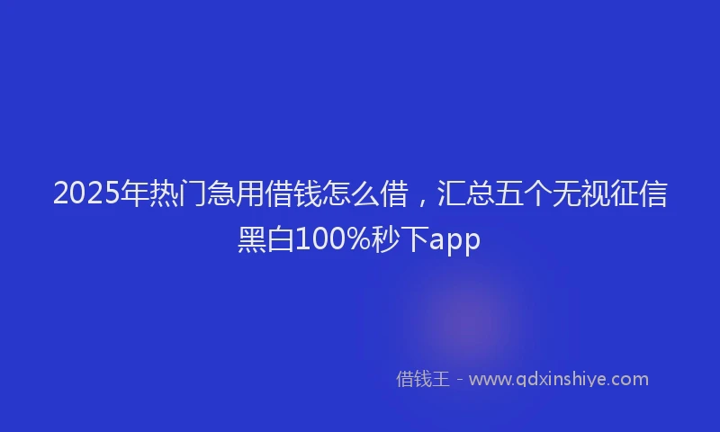 2025年热门急用借钱怎么借，汇总五个无视征信黑白100%秒下app