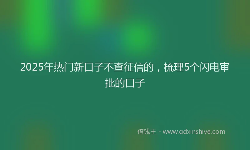 2025年热门新口子不查征信的，梳理5个闪电审批的口子