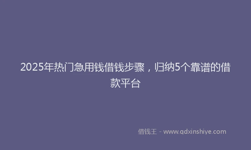 2025年热门急用钱借钱步骤，归纳5个靠谱的借款平台