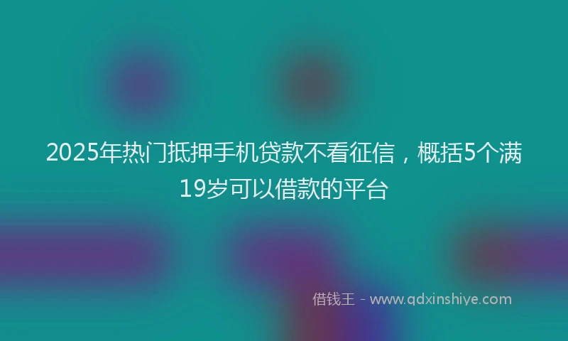 2025年热门抵押手机贷款不看征信，概括5个满19岁可以借款的平台
