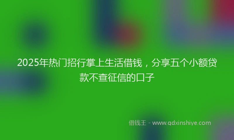 2025年热门招行掌上生活借钱，分享五个小额贷款不查征信的口子